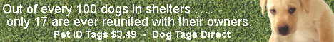 We ship Pet Tags 6 days a week.